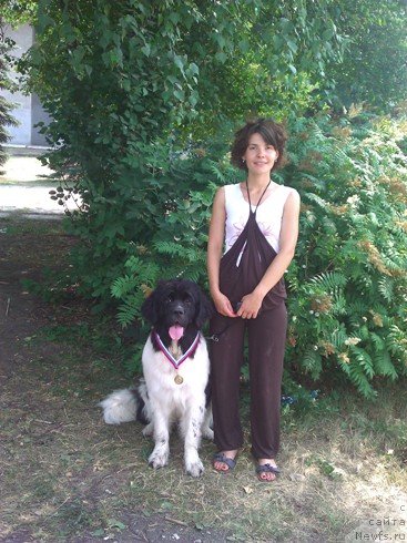 Фото: ньюфаундленд Чарующая Взглядом от Сибирского Медведя