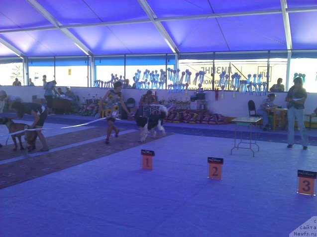 Фотография № 101477