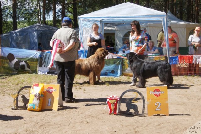 Фотография № 101522