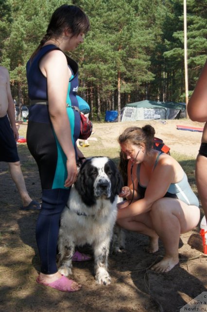 Фотография № 101527