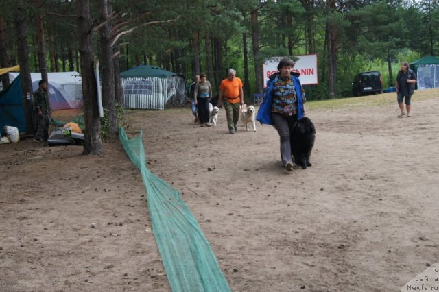 Фотография № 101534