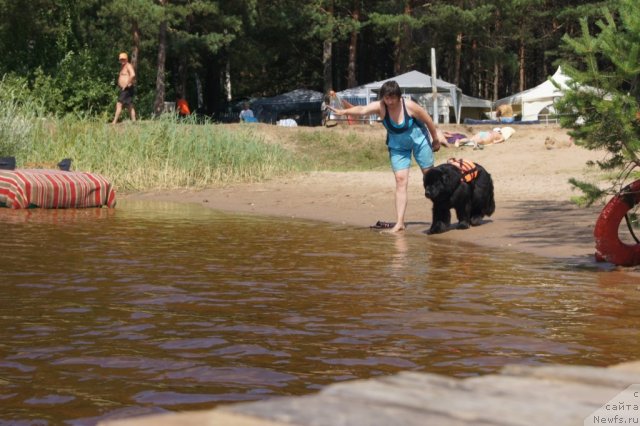 Фотография № 101535