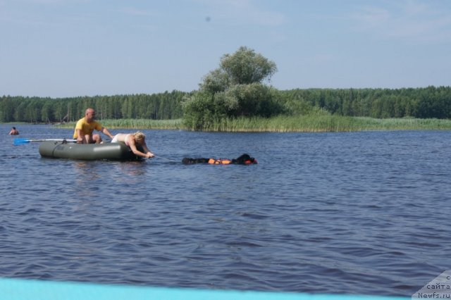 Фотография № 101536