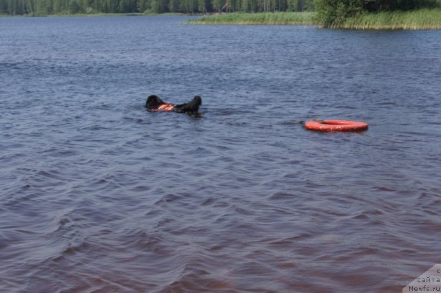 Фотография № 101538