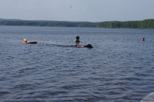 Фотография № 101539