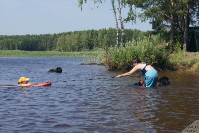 Фотография № 101540