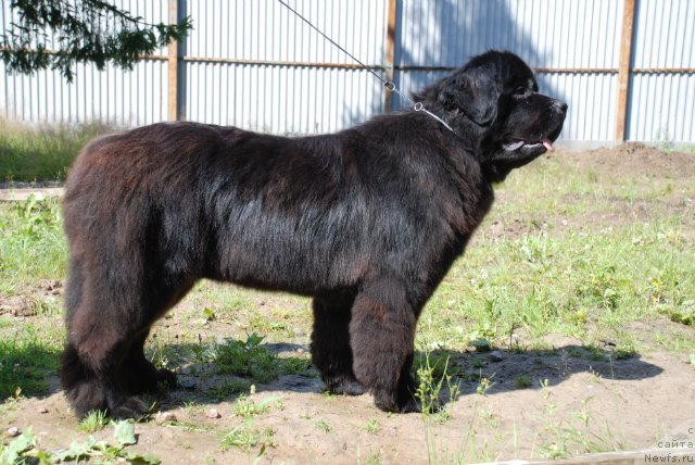 Фотография № 101542