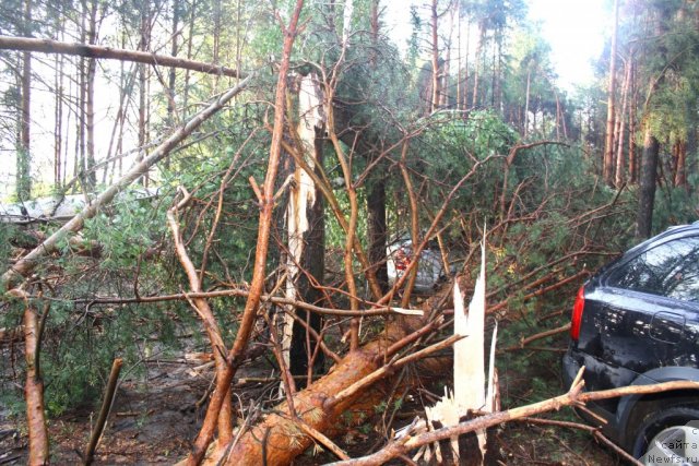 Фотография № 101545