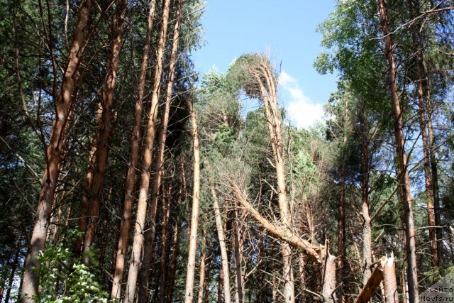 Фотография № 101546