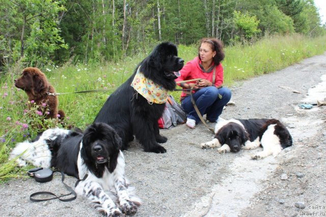 Фотография № 101561