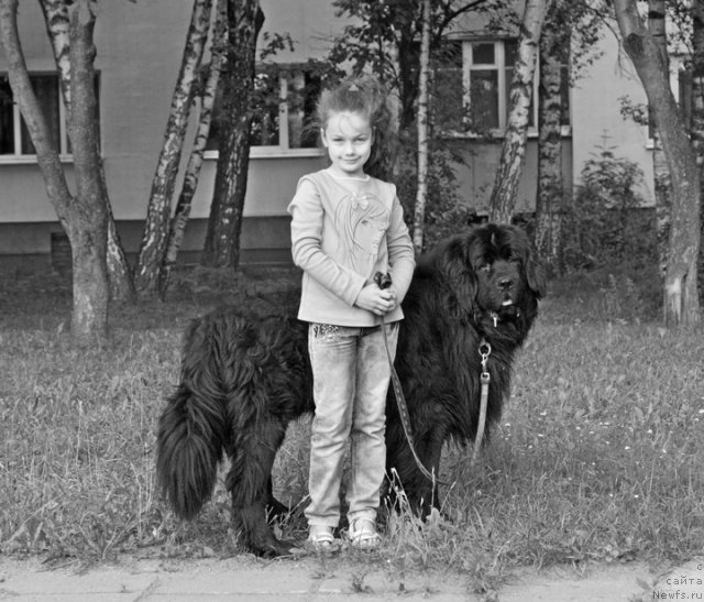 Фотография № 101650