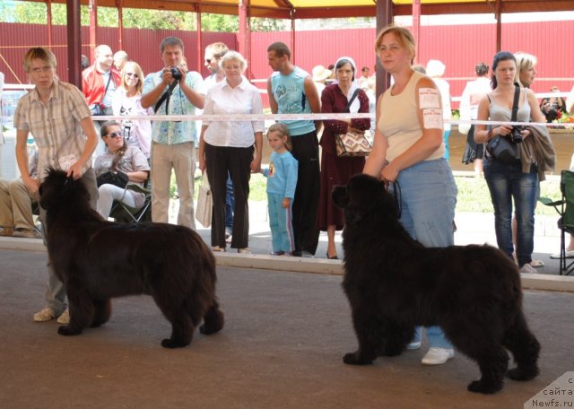 Фотография № 101710