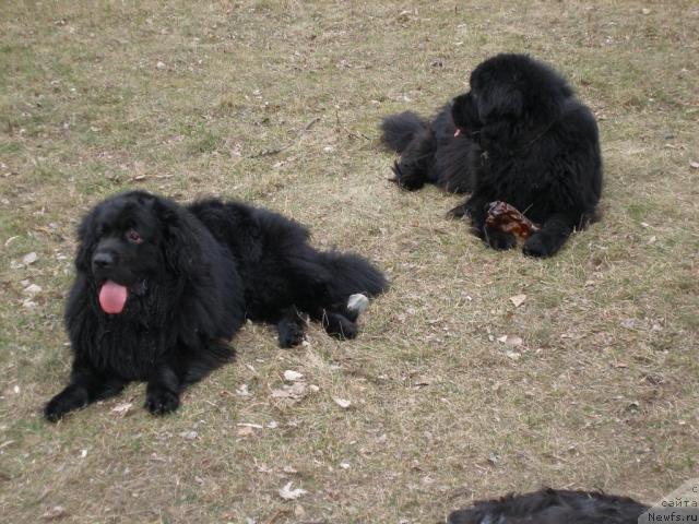 Фотография № 10176