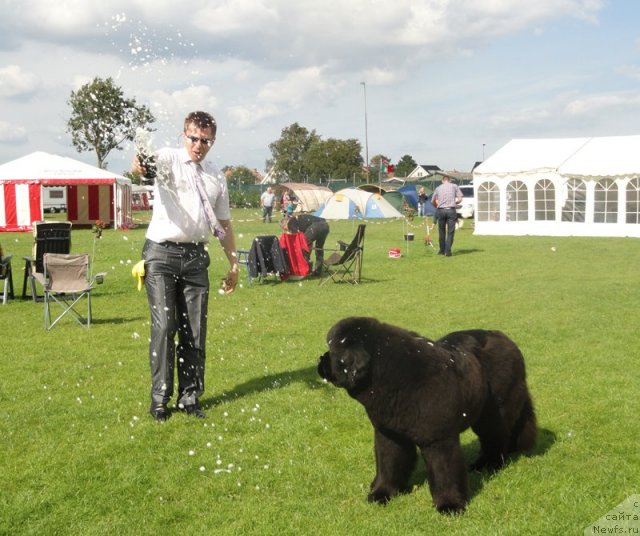 Фотография № 101773