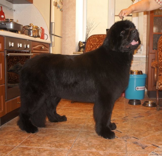 Фотография № 101796