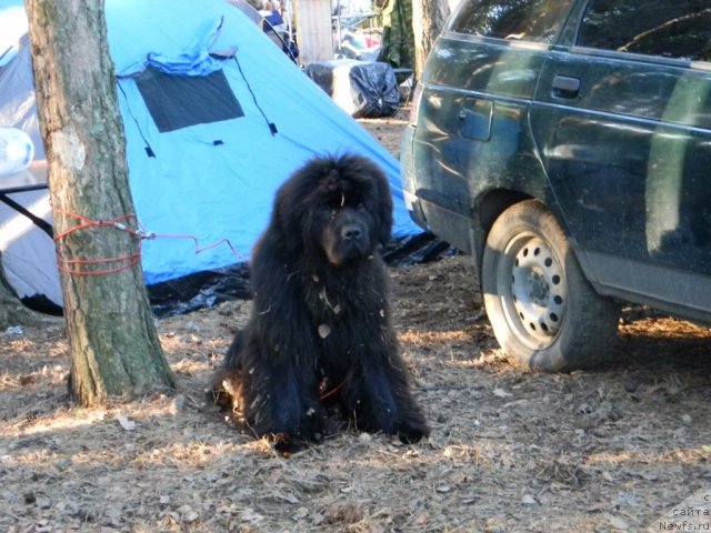 Фото: Наталья Маслова