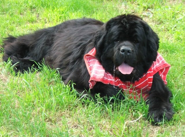 Фотография № 101831