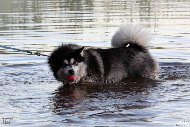 Фотография № 101836