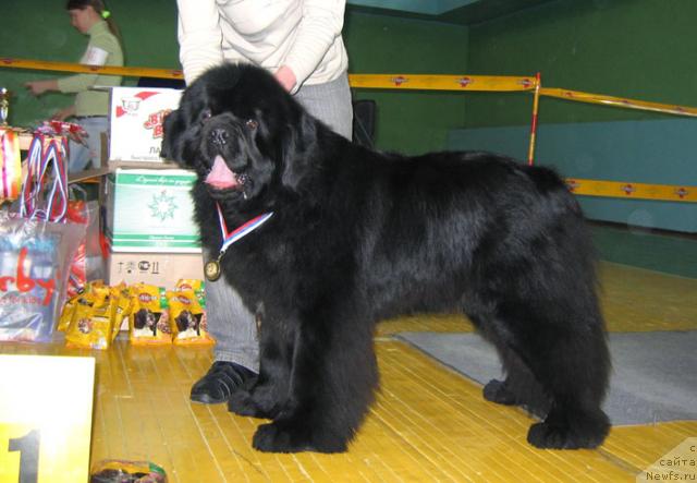 Фотография № 10184