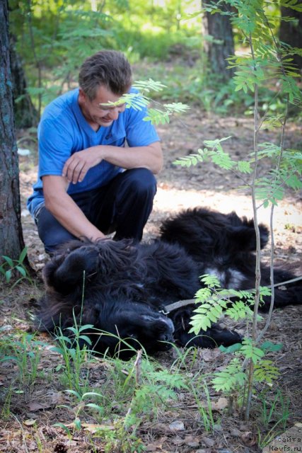 Фотография № 101843