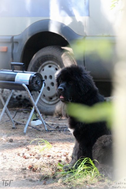 Фотография № 101845