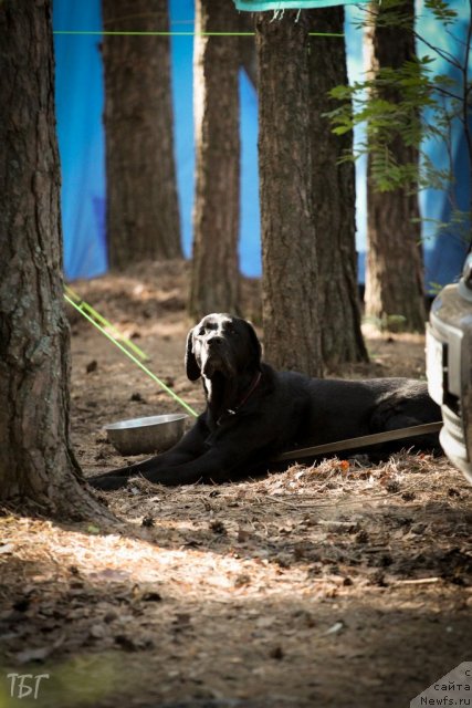 Фотография № 101846