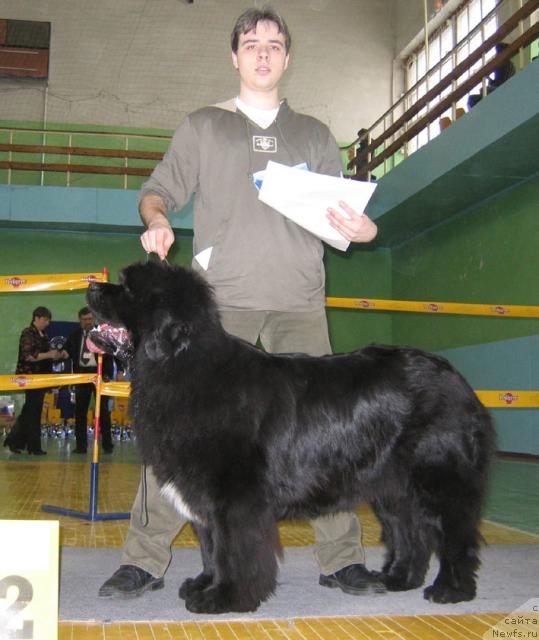 Фотография № 10185