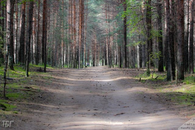 Фотография № 101853