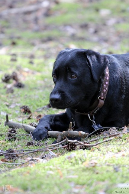 Фотография № 101854