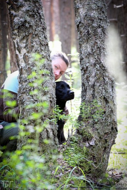 Фотография № 101855