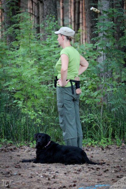 Фотография № 101861