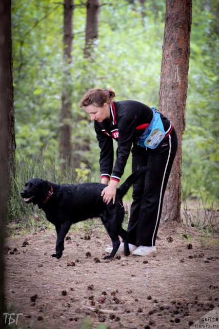 Фотография № 101862