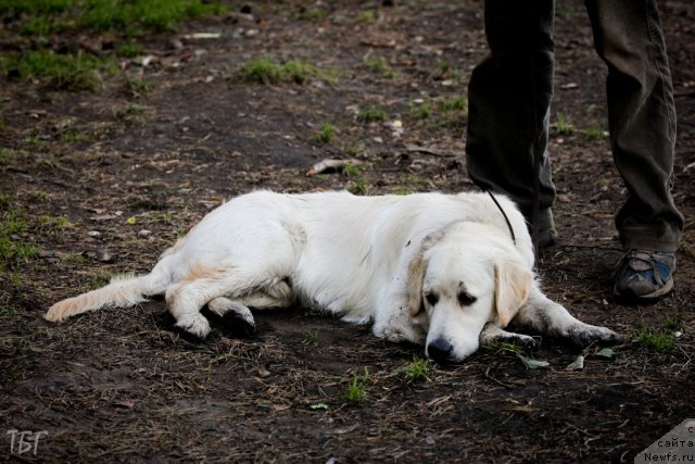 Фотография № 101863