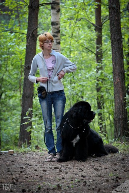 Фотография № 101864