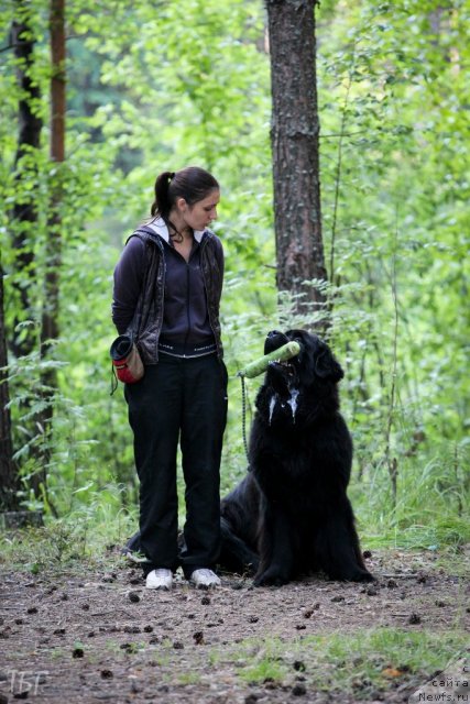 Фотография № 101865