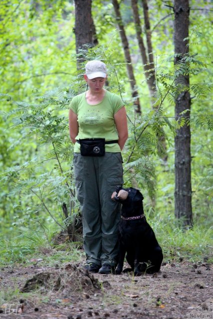 Фотография № 101866