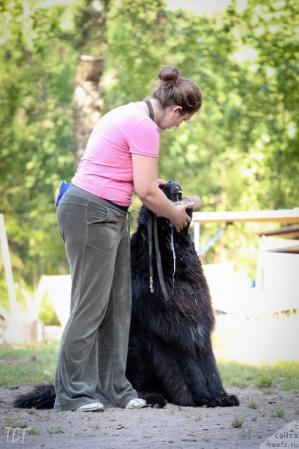 Фотография № 101869