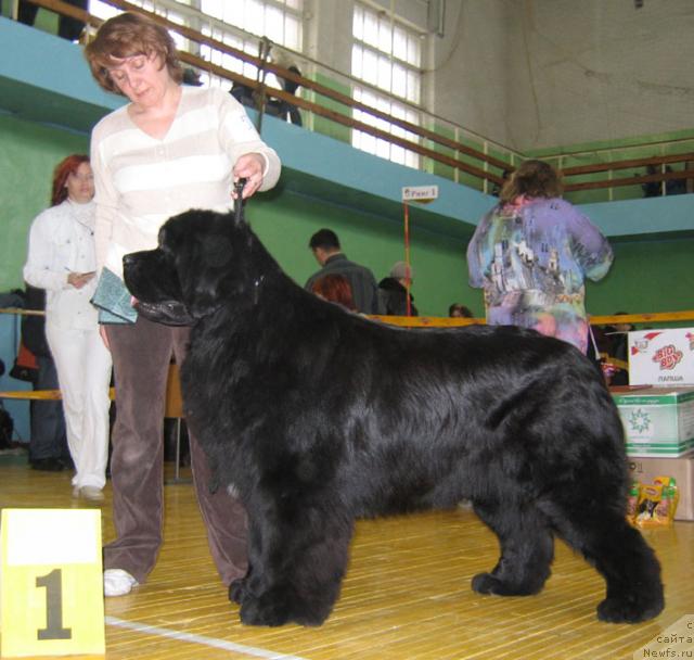 Фотография № 10187