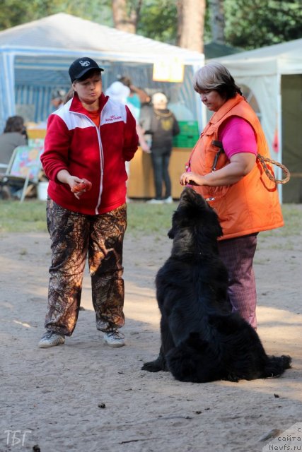 Фотография № 101871