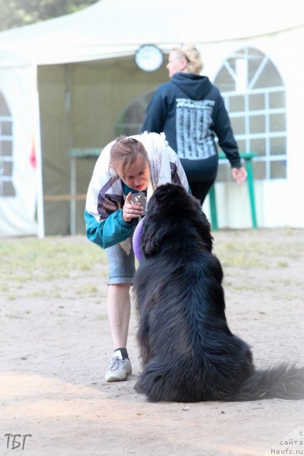 Фотография № 101872