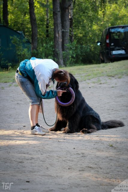 Фотография № 101876