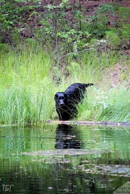 Фотография № 101878