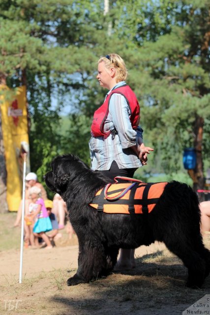 Фотография № 101887