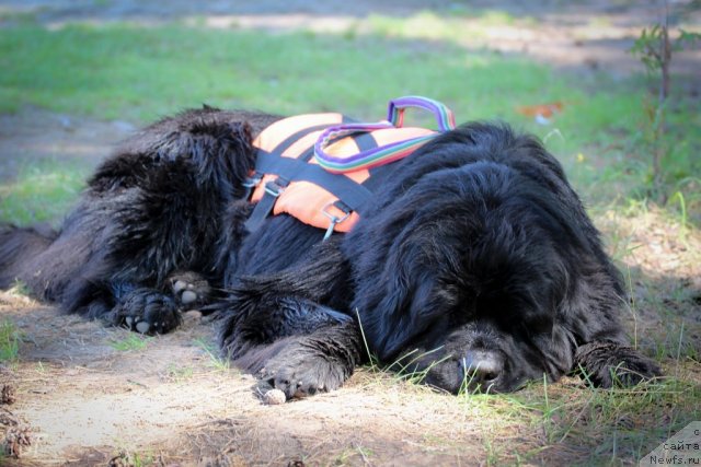 Фотография № 101893