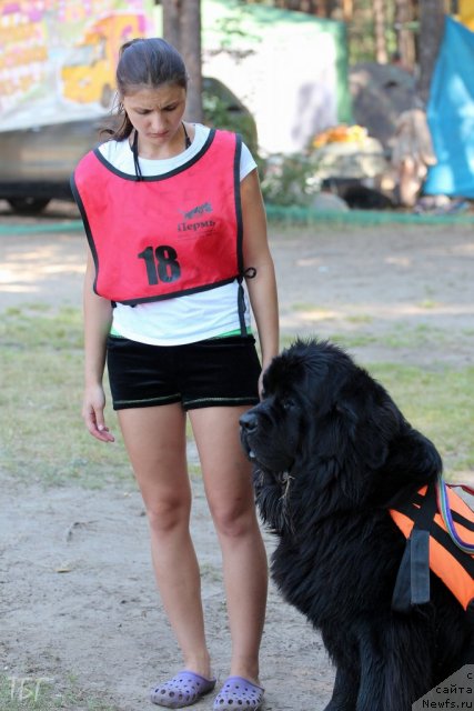 Фотография № 101894