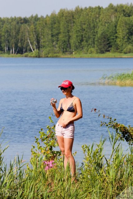 Фотография № 101895