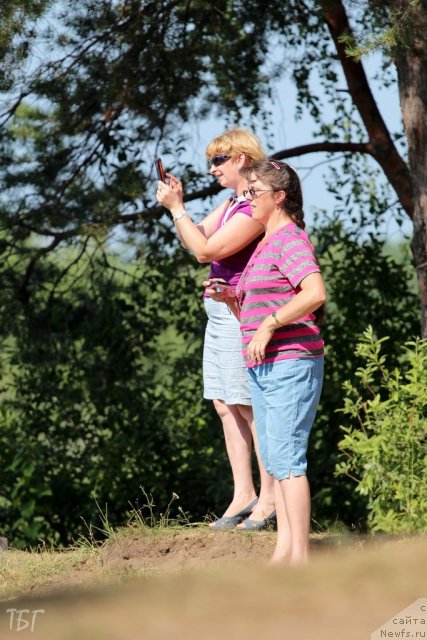 Фотография № 101898