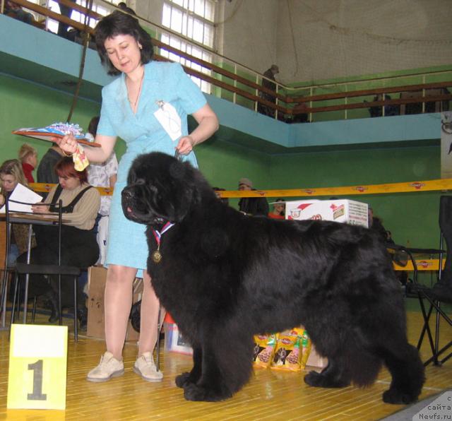 Фотография № 10190