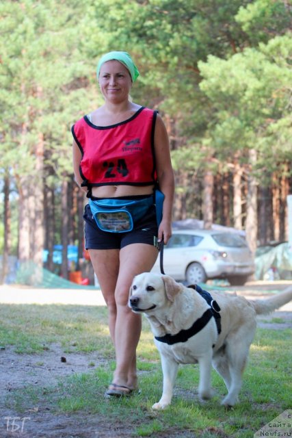 Фотография № 101901