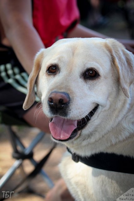 Фотография № 101902